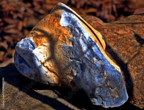 Kolorowy kamień wśród poszycia leśnego