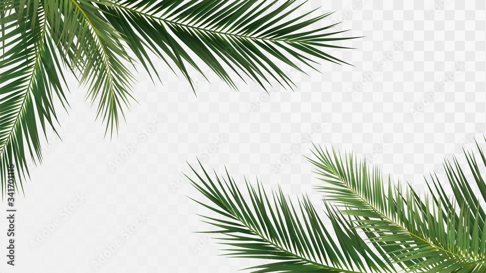 Palm branches in the corners, tropical plants decoration elements - obrazy, fototapety, plakaty 