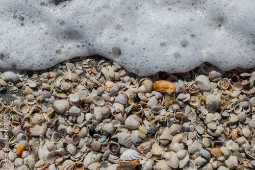 wave and shells on the beach of sanibel island photo