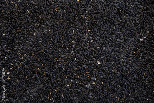 Black Oil Sunflower Seeds for Finches, Nuthatches, Chickadees and Cardinals