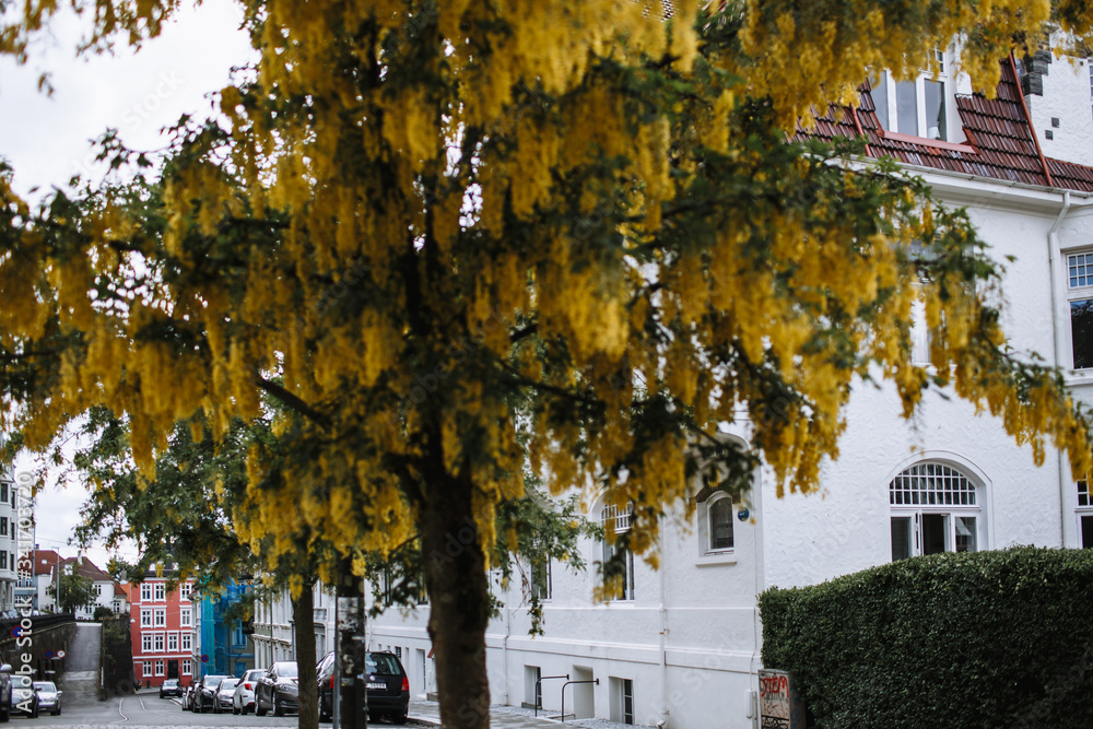 Naklejka premium Street view, city of Bergen