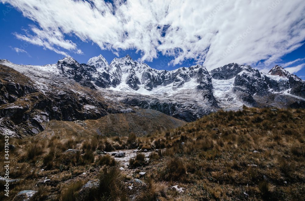 high snowy Taulliraju mountain surrounded by clouds and bushes in the foreground, in the Andes trekking of the quebrada santa cruz