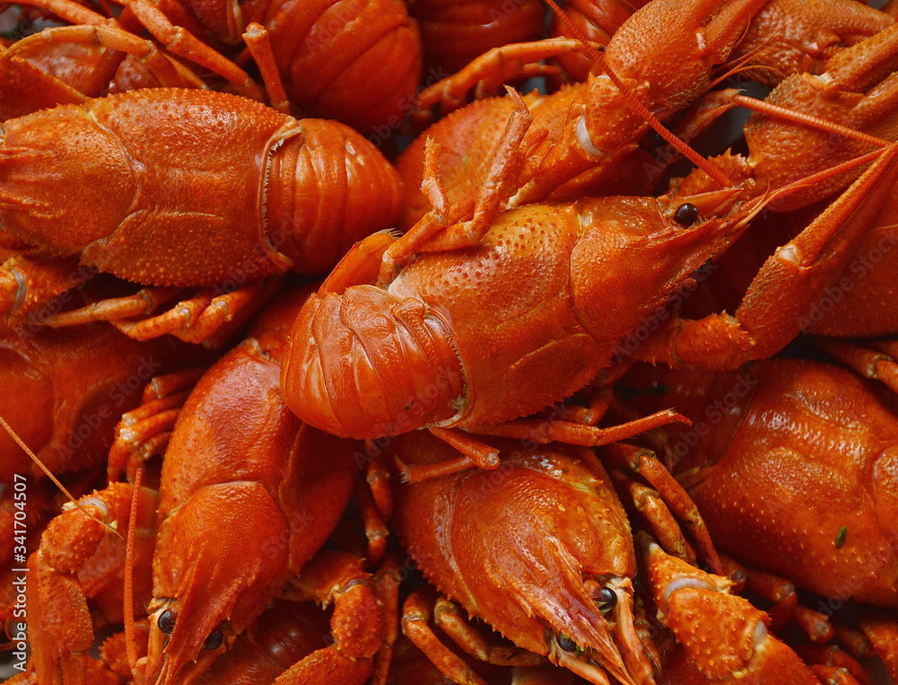 Freshly cooked, piled red crayfish, tasty natural snack 