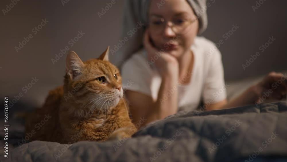 Orange cat talks with woman working on laptop from home Orange cat talks with woman working on laptop from home
