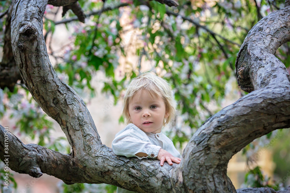 Child, boy in spring park with blooming magnolia trees Child, boy in spring park with blooming magnolia trees