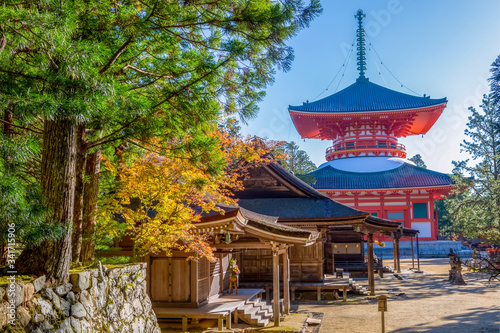 View of the Danjo Garan Sacred Temple Complex, with the Konpon Daito