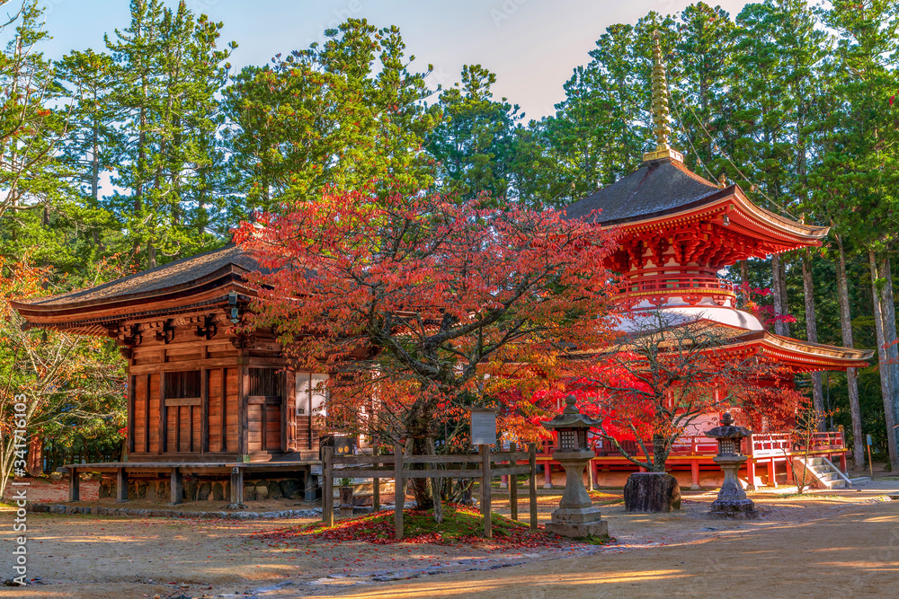 Japan. Dai Garan Buddhist temple in Koyasan