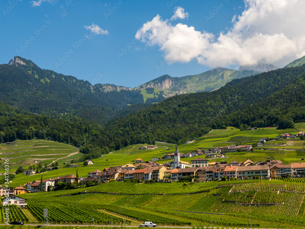 Summer Switzerland valley landscape with vineyards at foreground