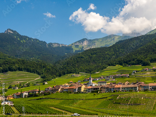 Summer Switzerland valley landscape with vineyards at foreground