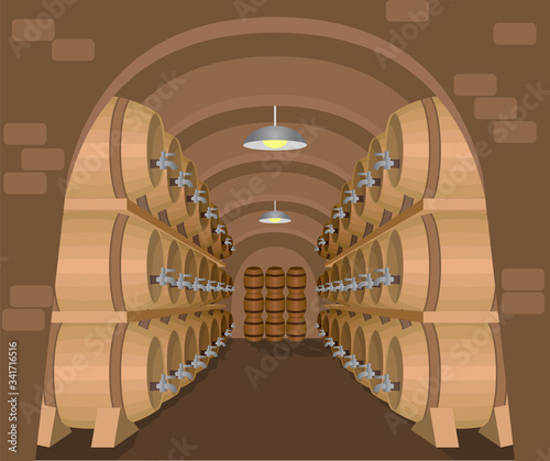 Wine cellar with oak barrels standing in rows. Winery