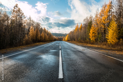 asphalt road in the autumn forest