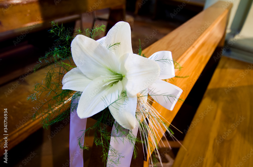 white lily on stola candida, symbol of purity Stock Photo | Adobe Stock