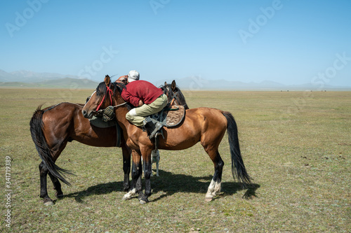 Horse wrestling, a traditional Kyrgyz horse sport, on Song Kul plateau in central Kyrgyzstan