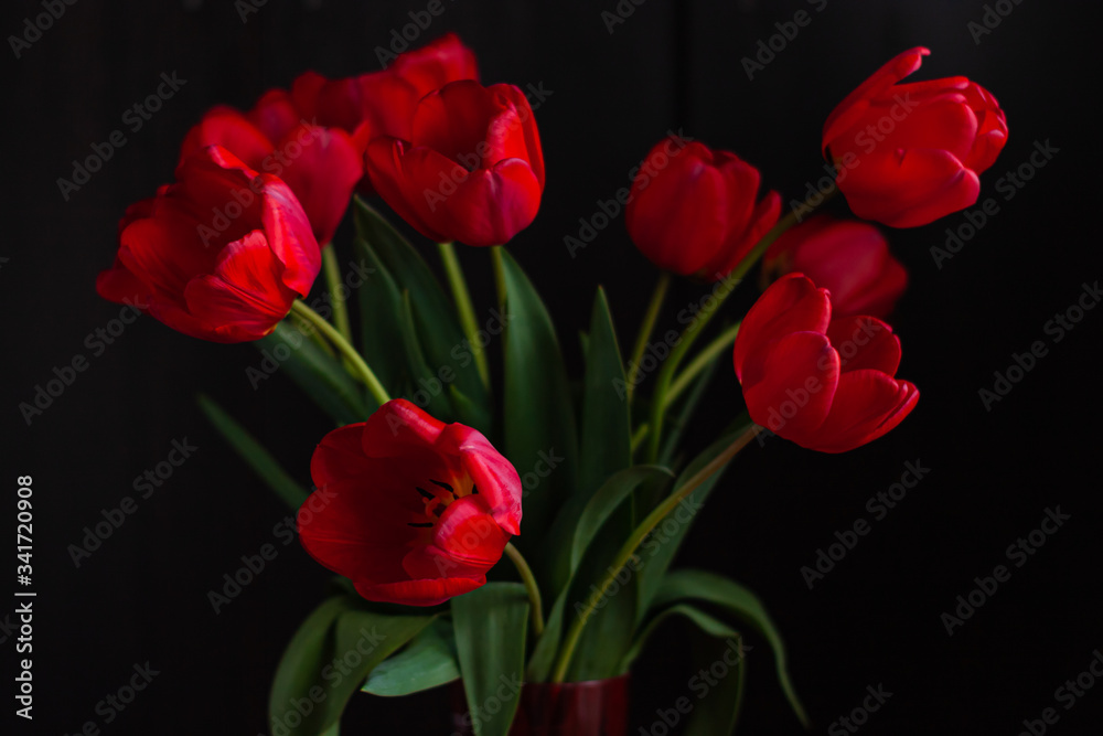 Amazing blooming red tulips bouquet on black background. Dark moody low key minimalism style flowers photo banner. Love greeting card copy space. Mother's Women's Valentine's day, romantic wallpaper. Amazing blooming red tulips bouquet on black background. Dark moody low key minimalism style flowers photo banner. Love greeting card copy space. Mother's Women's Valentine's day, romantic wallpaper.