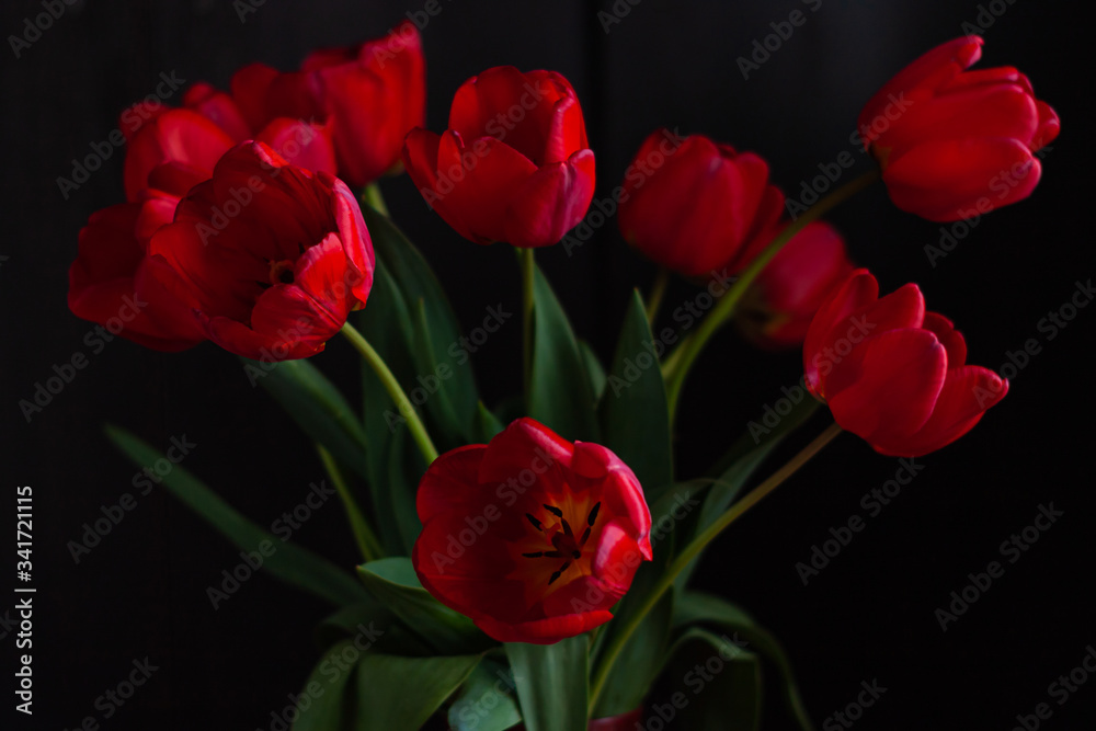 Amazing blooming red tulips bouquet on black background. Dark moody low key minimalism style flowers photo banner. Love greeting card copy space. Mother's Women's Valentine's day, romantic wallpaper. Amazing blooming red tulips bouquet on black background. Dark moody low key minimalism style flowers photo banner. Love greeting card copy space. Mother's Women's Valentine's day, romantic wallpaper.