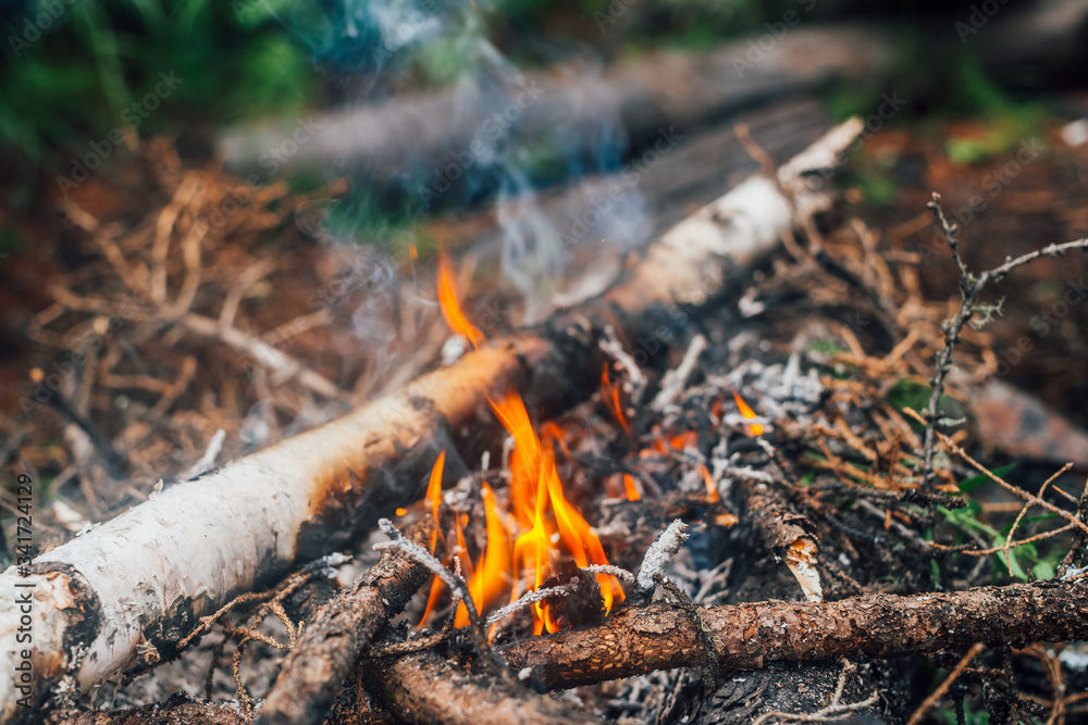 Burning branches and brushwood in fire close-up. Atmospheric warm background with orange flame of campfire and blue smoke. Beautiful full frame image of bonfire. Firewood burns in vivid flames.