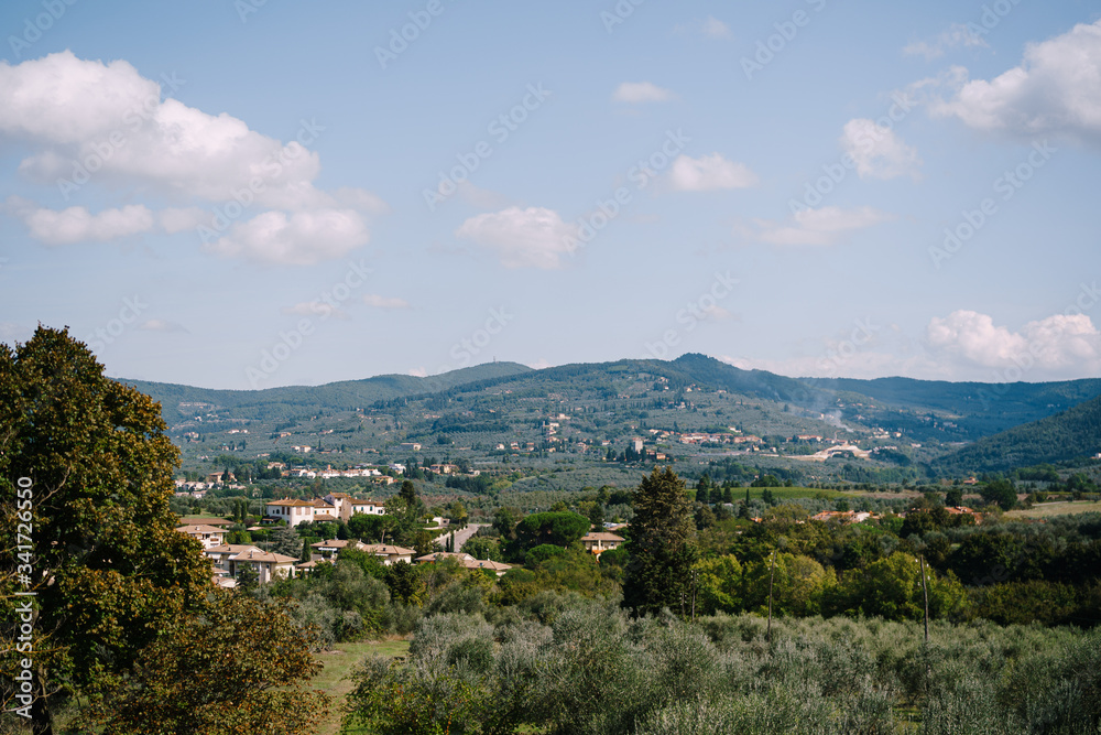 View on rows of olive trees from the Medici Villa of Lilliano Wine Estate in Tuscany, Italy.