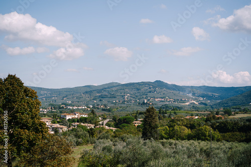 View on rows of olive trees from the Medici Villa of Lilliano Wine Estate in Tuscany  Italy.