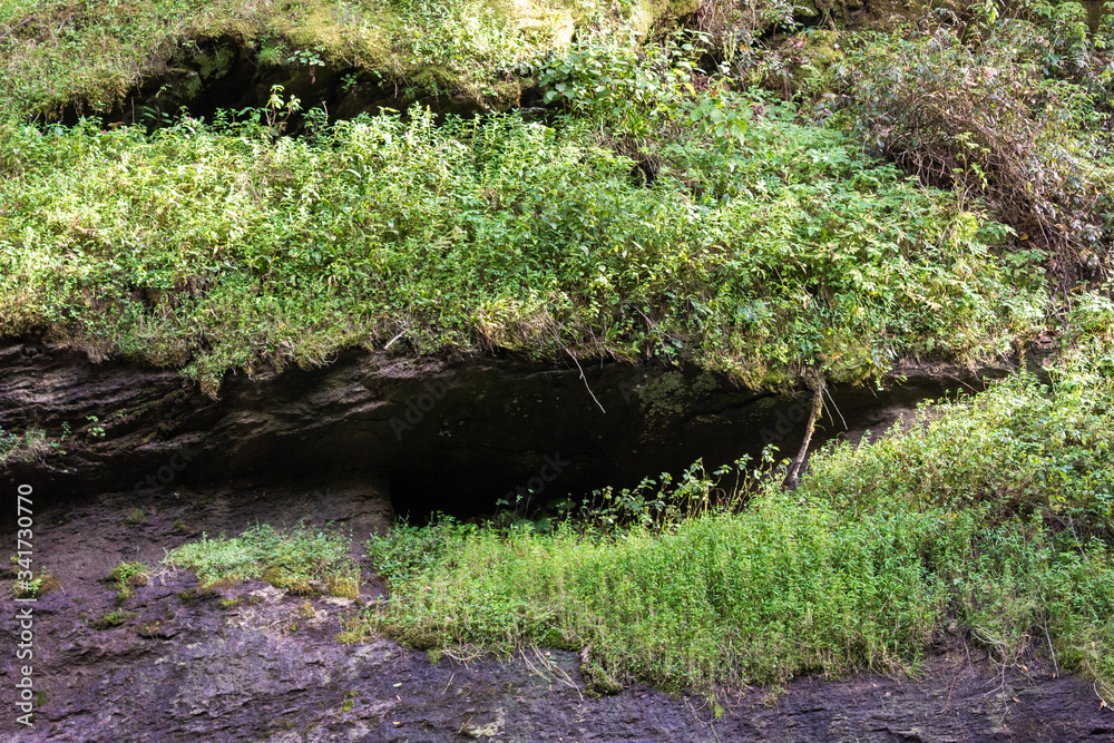 Close-up green plants on a beautiful bokeh background