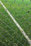 chain link fence with grass