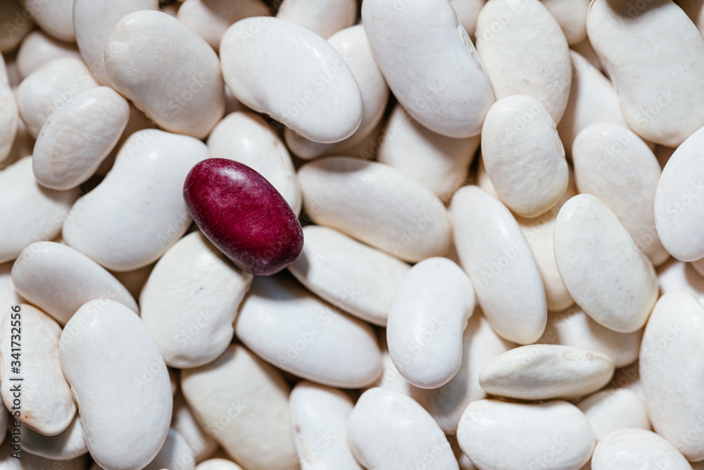 White bean pattern. White beans. Top view. Close up.