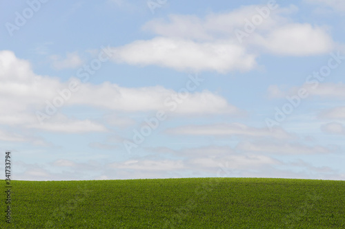 Pradera verde con horizonte cercano y cielo con nubes