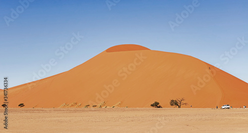 Sand Dune in the Namibian Desert near Sossusvlei in Namib-Naukluft National Park  Namibia.