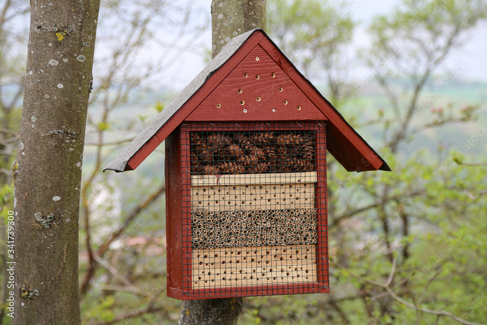 Hotel house for insects in the Garden Hotel house for insects in the Garden
