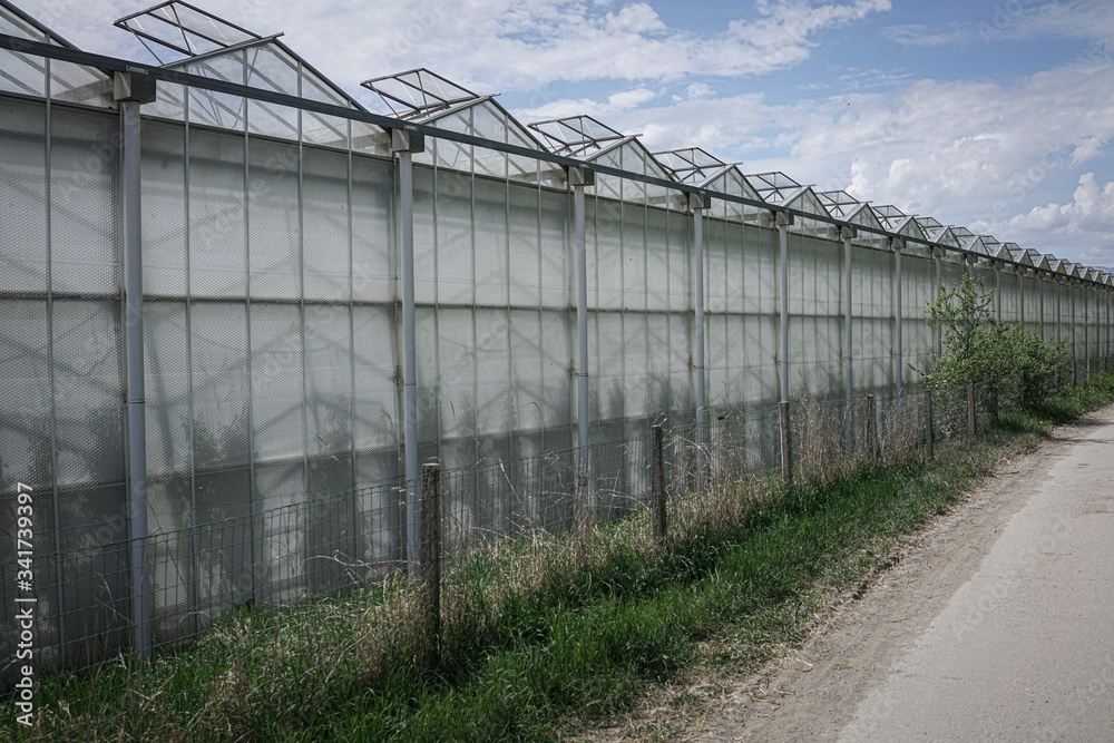 Greenhouse for fruits and vegetables. Side view. Greenhouse for fruits and vegetables. Side view.