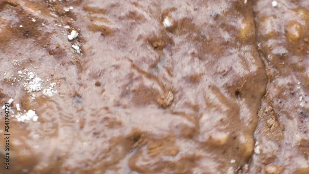 Macro stirring flour, cocoa powder and other ingredients for chocolate cupcakes Macro stirring flour, cocoa powder and other ingredients for chocolate cupcakes
