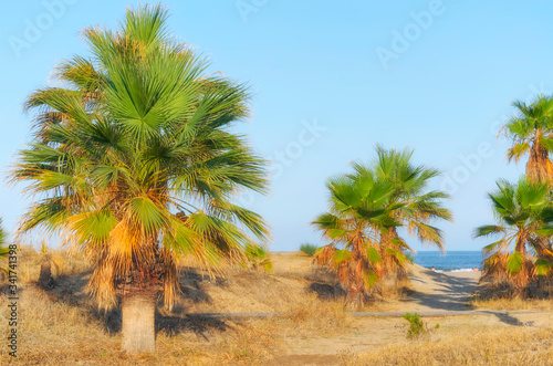 Warm landscape. Sunset at the beach of Castellon de la Plana ( Valencia - Spain ). Tropical scene for relaxing, of summer vacations. At the background, people are sunbathing near to the waters.