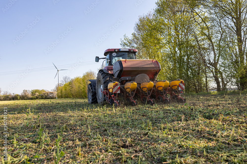 Fototapeta premium Traktor mit Einzelkornsämaschine beim Maislegen Direktsaat