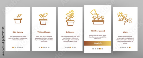 Growing Flowers Plants Onboarding Icons Set Vector. Growing Flowers In Greenhouse And Pot, Planting, Cultivating And Harvest Illustrations