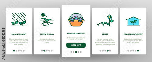 Growing Flowers Plants Onboarding Icons Set Vector. Growing Flowers In Greenhouse And Pot, Planting, Cultivating And Harvest Illustrations