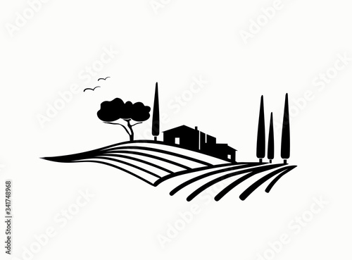 vineyard vector illustration rural landscape