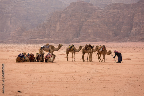camel caravan stopped halfway among the desert amid tan mountains