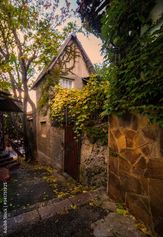 Fototapeta premium Very nice and cozy narrow street next to a beautiful sweet house