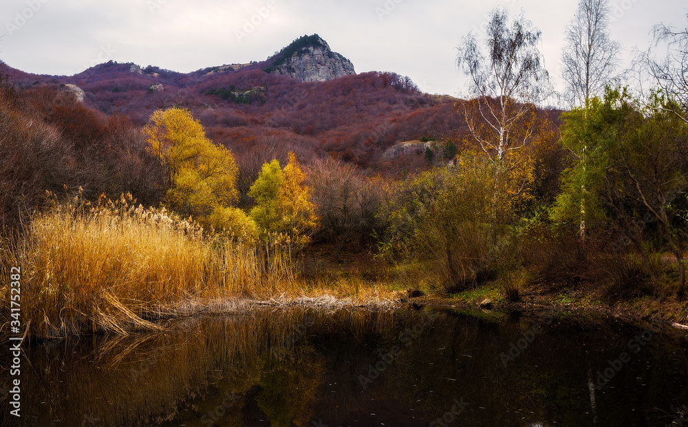 Landscape with a lake in the mountains in the thick of trees Landscape with a lake in the mountains in the thick of trees