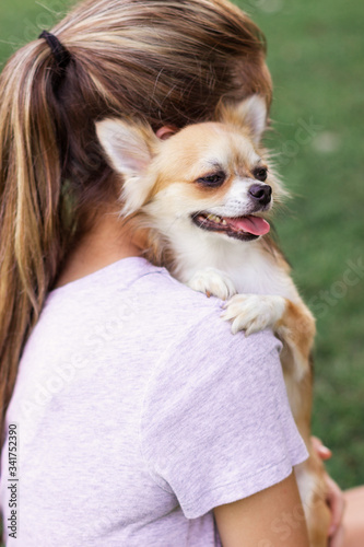 A small dog sits on the girl’s shoulder and puts his paws on his shoulder. Girl with long blonde hair holds on the shoulder of a small chihuahua