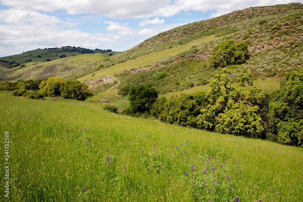 Landscape with green hills and blue sky. California. Santa Teresa.