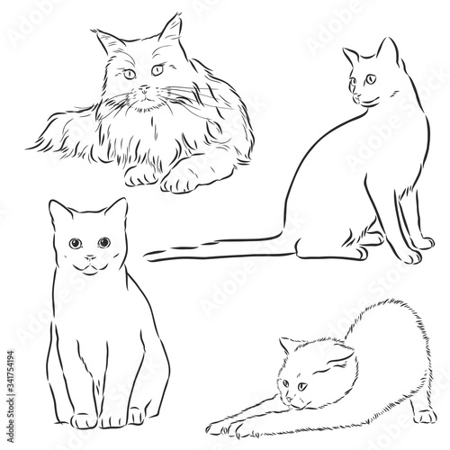 Cats set, vector illustration, hand-drawn cute fluffy cats. domestic cat set vector sketch illustration