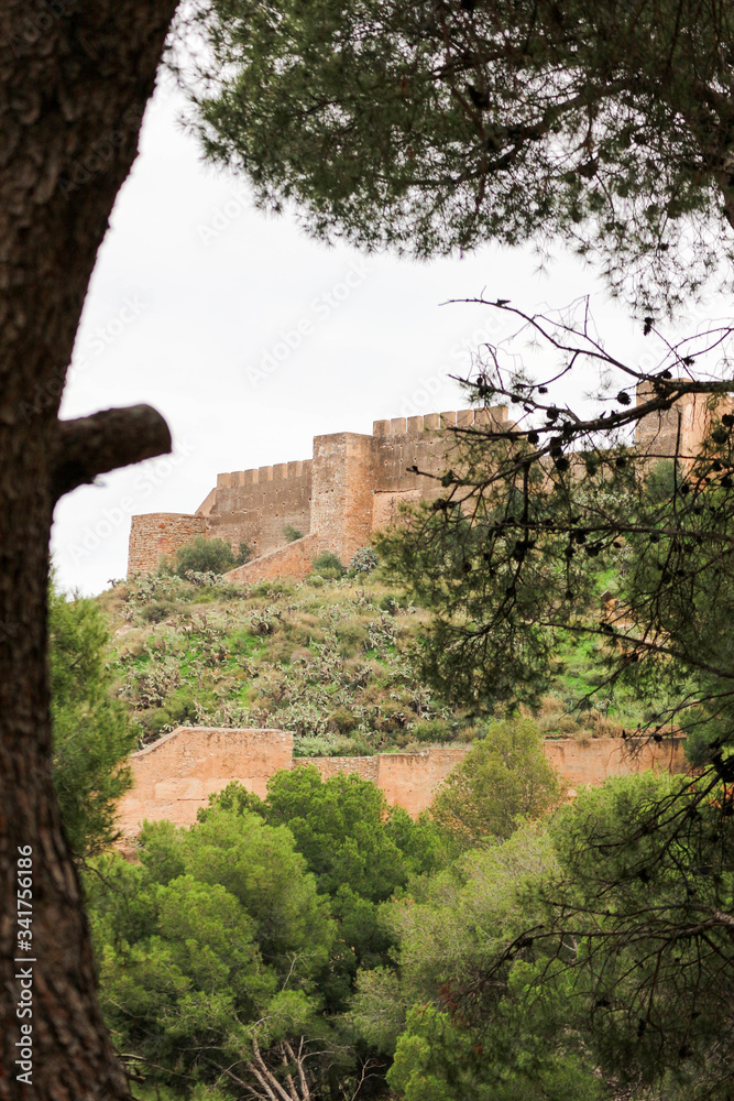 View through the trees to Sagunto old castle ruins