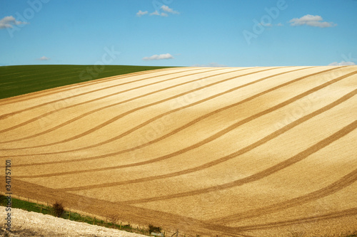 Curved lines of a ploughed field with a blue sky and white fluffy clouds of the rolling farmland in Sussex, England, UK