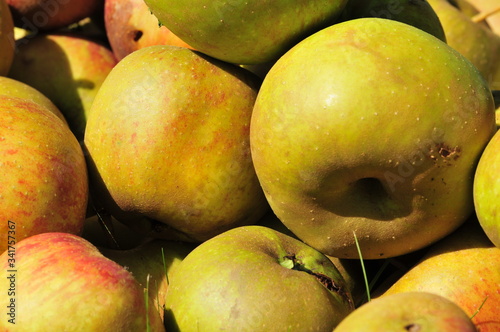 Fotografi healthy vitamins in green juicy apples
