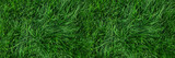 Natural green grass background, fresh lawn top view