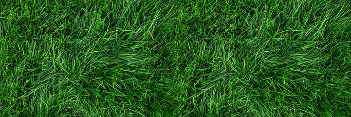 Acrylglasbilder Gras Frischer Rasen aus der Vogelperspektive  © Mariusz Blach