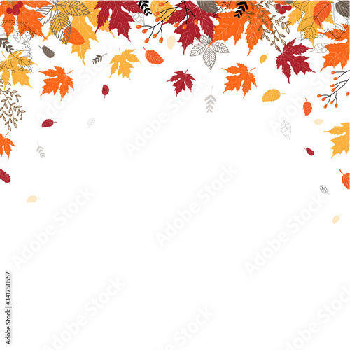 Vector background with red, orange, brown and yellow falling autumn leaves, isolated on white background.