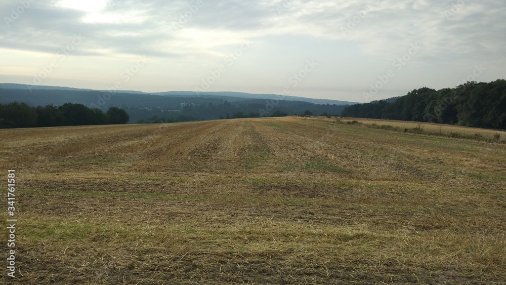 Obraz premium Landschaft