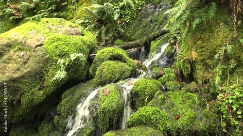4K footage of Coal Creek river in Seattle Washington
