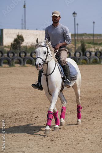 Horse rider in action, outdoors. Young man jockey on horse © Gecko Studio